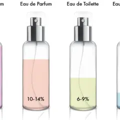 Parfum vs. Eau de Toilette: Konzentration, Haltbarkeit & Preis erklärt