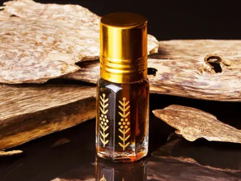Oud Parfum: Was es ist, wie es riecht & warum es so teuer ist