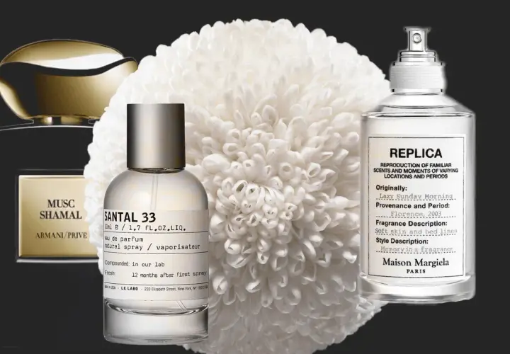 Moschus & Sandelholz: Die besten Parfums & ihre Wirkung