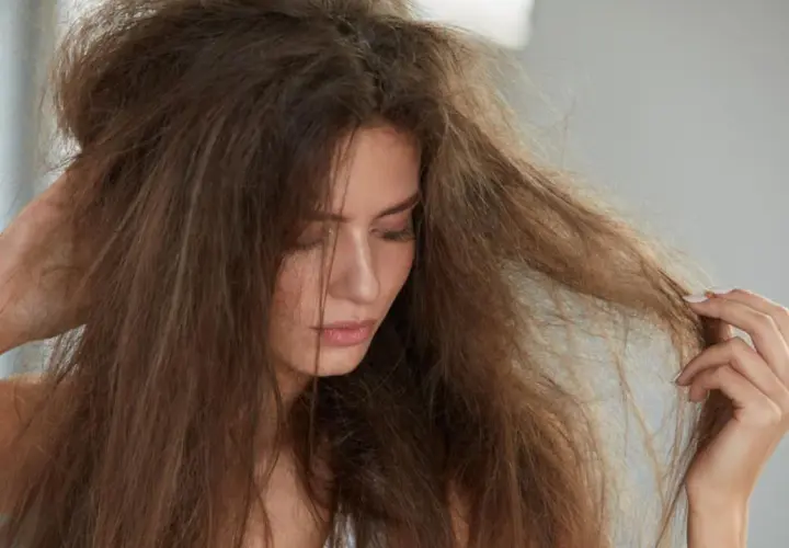 Trockene Haare? Effektive Hausmittel für Glanz & Geschmeidigkeit