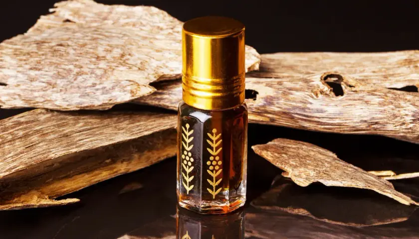 Kleines Fläschchen mit goldenem Verschluss und Oud-Holzstücken.