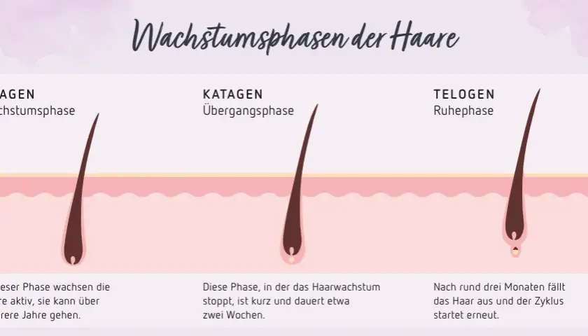 Haare schneller wachsen lassen: Die besten Tipps & Tricks für Länge