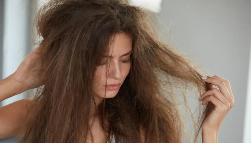 Trockene Haare? Effektive Hausmittel für Glanz & Geschmeidigkeit