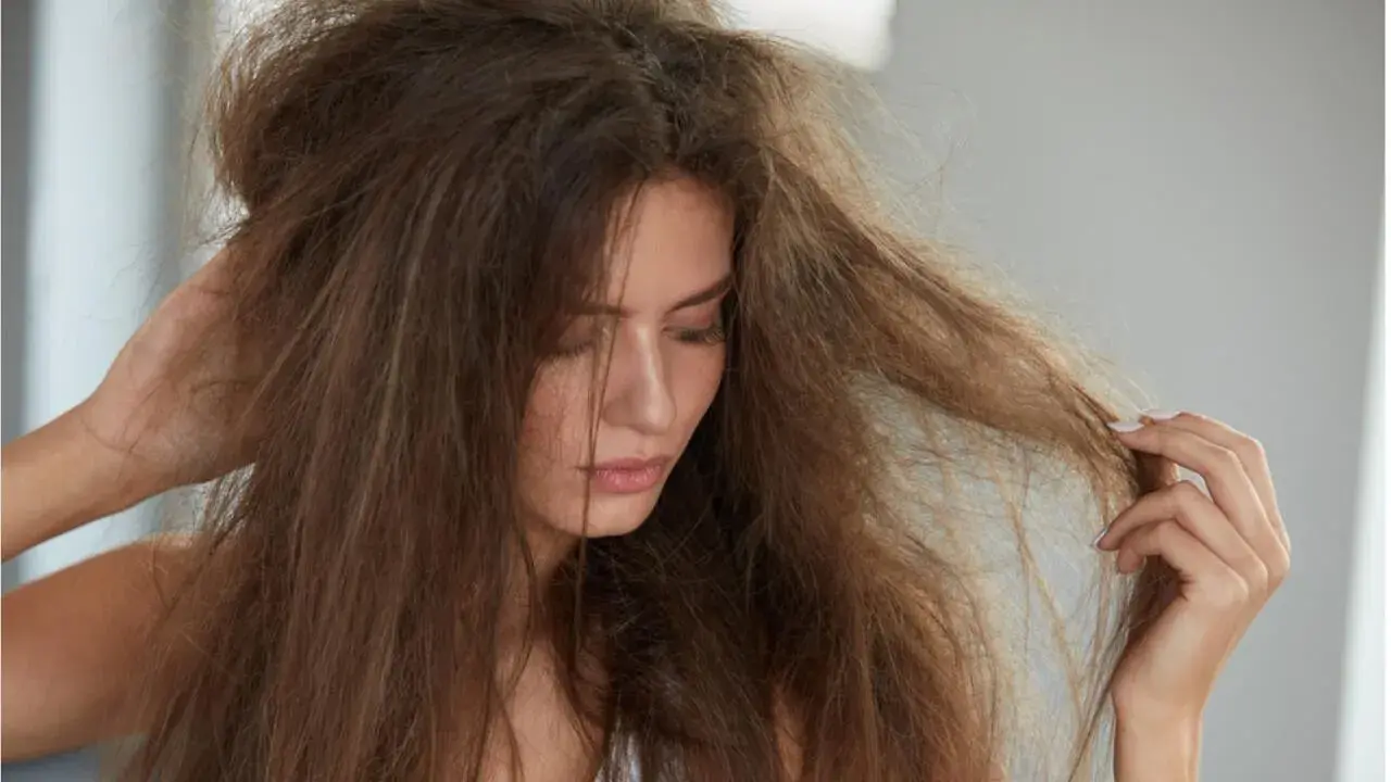 Trockene Haare? Effektive Hausmittel für Glanz & Geschmeidigkeit