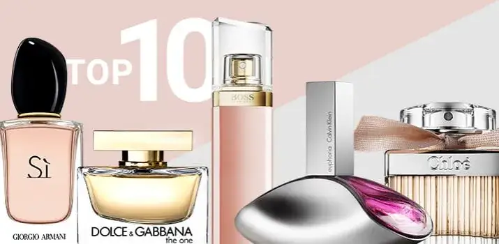 moderne bestseller damenparfums